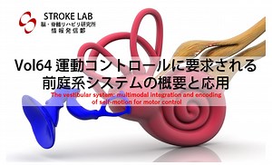 【保存版】前庭系の概要とリハビリテーションへの応用      脳卒中/脳梗塞のリハビリ論文サマリー