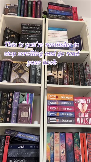 What’s everyone reading right now? #booktok #reading #books #tbr #currentread