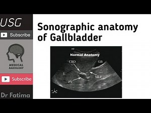 Anatomy And sonographic appearance of Gallbladder