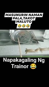 #fbreelsfypシ゚viralfbreelsfypシ゚viral #highlights #everyone | Baihana Mindal