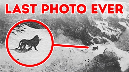 The Final Encounters with Extinct Species