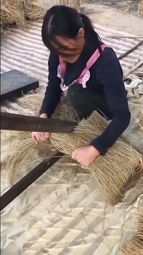 Hay cutting process with a fodder chopper