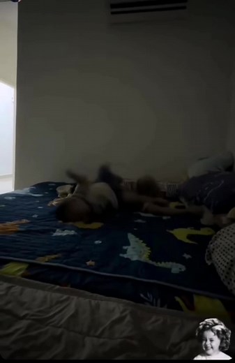 Kelucuan Gibran dan Baby Tomato: Lawak Kekinian