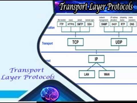Transport Layer Protocols