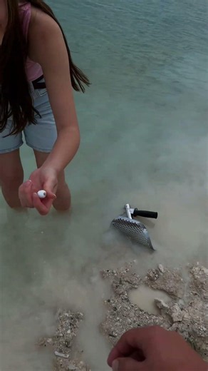 🌊 Beginner-Friendly Metal Detecting Gear!