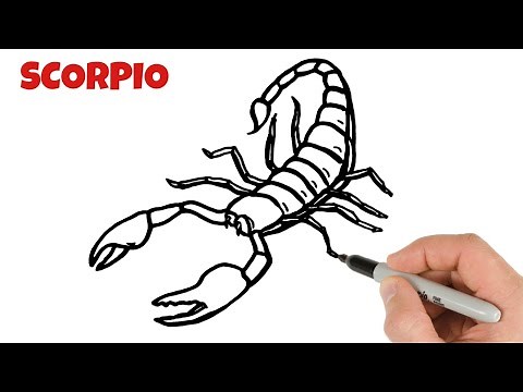 How to Draw Scorpio | Art Tutorial for beginners
