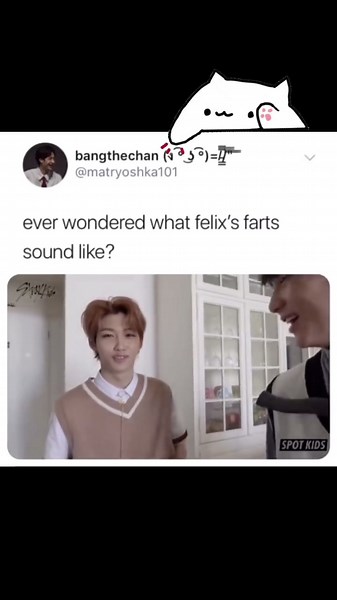 Stray Kids Felix Farting During Backflip