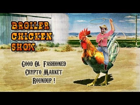 Crypto & Stock Trading Community Show - 12.7.2025 - The Broiler Chickens Show