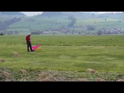 Skyflex 2000 von Robbe