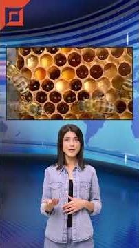 What do bees and electrotech have in common?