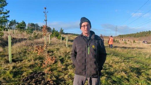 🌳As National Tree Week draws to an end, Cllr John Riddle, reflects on the planting of our millionth tree in Northumberland. #NationalTreeWeek #Northumberland | Northumberland County Council