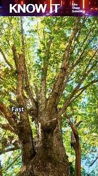 Why Do We Have Seasons?