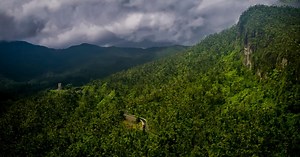 Visita el Bosque Nacional El Yunque
