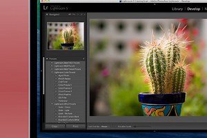 Best Photo Organization Software For Macs