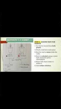 ‪@Focusnotes14‬ Class-7th Science Chapter-1 Nutrition In Plants Part-3