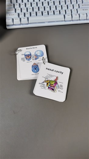 For a little memory refresh! Or just to have and to hold in your pocket! #nursingstudent #nursing #nursingschool #anatomy #nursetok