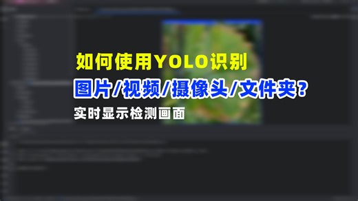 yolo26图片视频摄像头文件夹批量检测步骤适用yolov8yolov11