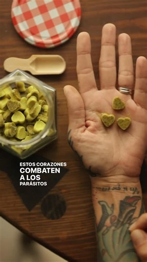 Nena on Instagram: "🪱 Después de ver algunos vídeos en internet sobre parásitos intestinales, no pude quitármelo de la cabeza y empecé buscar información para prevenirlos o combatirlos de manera natural. Estas cápsulas se preparan fácilmente y se consumen, con un trago de agua caliente. Nosotros en casa tomamos 3 a la semana. No solo es un antiparasitario, si no una forma de cuidado interior. Para prepararlas añade una cucharada de cada ingrediente y muele los muy finos. Cúbrelo con aceite de c