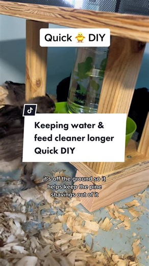 DIY Water Dispenser and Feeder for Chickens