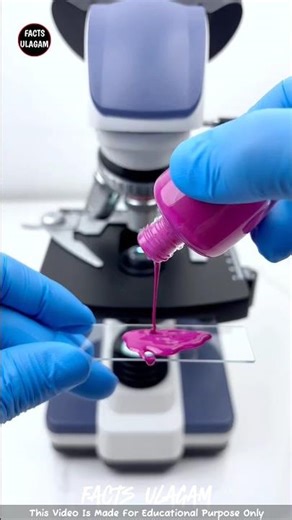 😱Can we see what the world looks like under a microscope | Facts Ulagam_Fact In Tamil_#shorts