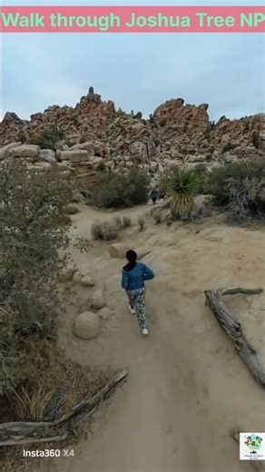 Joshua Tree: Where Two Deserts Meet 🌵✨ #joshuatreenationalpark #exploreusa