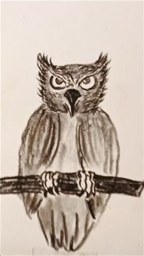 This Owl Drawing Will Haunt You! 👀🦉#shorts