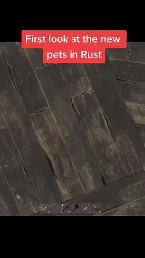 Rust clips on TikTok