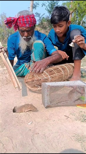 Unbelievable rat hunting skill using bamboo cage 01 #rattrap #rathunter #villagelife #survival