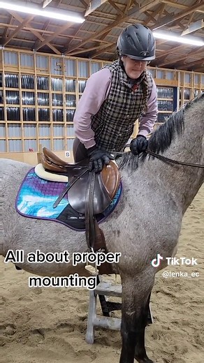 As an instructor of beginner riders, I see so many mistakes made while riders are mounting their horse! I, of course, help them learn the proper way. Here are just a few of the wrong methods I see, I could easily make a