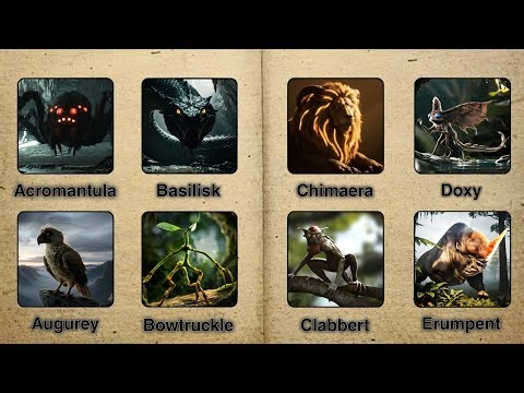 The Best Magical Creatures from the Harry Potter series!