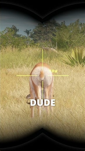 Right between the legs 🦌🔫 | theHunter: Call of the Wild