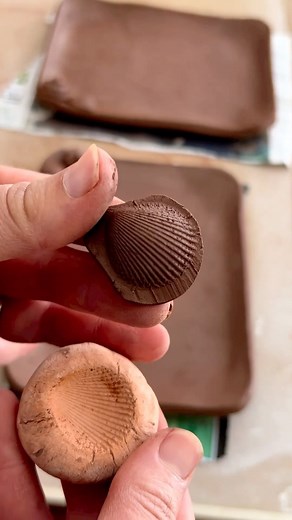 Ceramics Videos on Instagram: "Ceramic shell by @evergreenclaycreations"