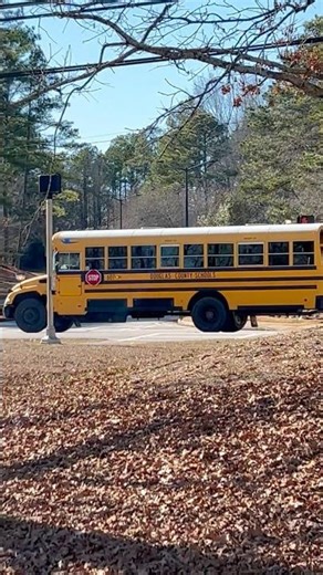 Bus 607 2019 bluebird vision with handicap♿️ gasoline