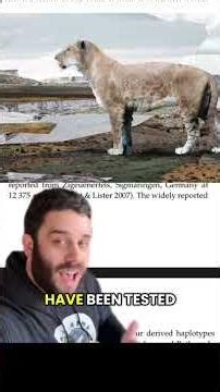 America’s Lost Giant Lions #animals #evolution #lion #history #learning #science