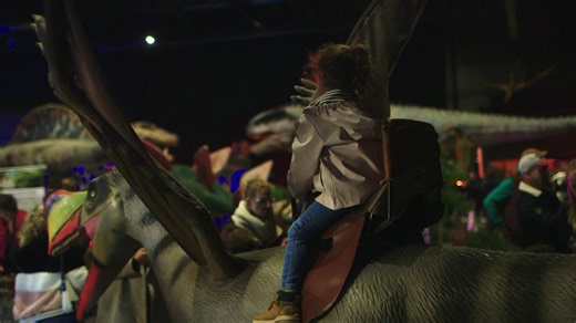 Dinosaures : Le Voyage de Bumpy® arrive dans votre ville !!! L’exposition-spectacle qui a triomphé dans le monde entier sera présentée au PARC DES EXPOSITIONS de MONTPELLIER, LES 14 & 15 FÉVRIER 2026, de 10H00 à 18H00. Dans une ambiance totalement immersive, venez à la rencontre des géants de la Préhistoire : Plus de 100 créatures extraordinaires vous donnent rendez-vous pour un véritable voyage de plus de 70 millions d'années dans le temps. Le Voyage de Bumpy® est une marque déposée, à ne confo
