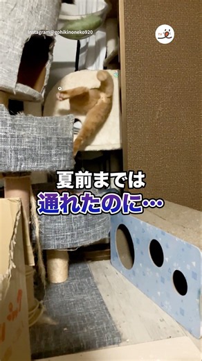 夏前までは通れたのに…｜PECO