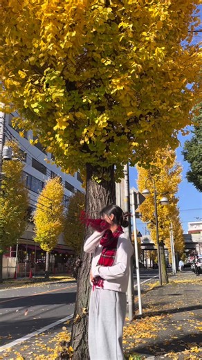 冬旅応援キャンペーンチケットのご紹介