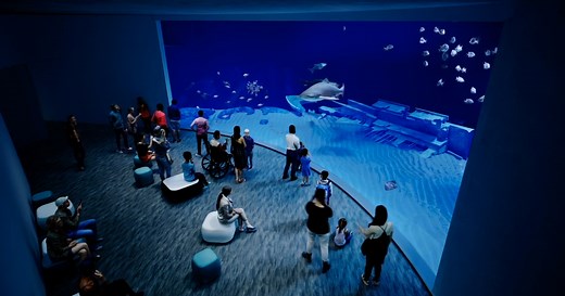 North Carolina Aquarium at Fort Fisher to close for 3-year expansion, opens mall pop-up