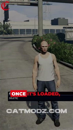 How to inject Phaze! #foryou #gta5 #fivem #fivemroleplay #gta5rp #redengine #catmodz #gtarp