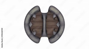 3D rendering of a stylized shield with a skull design and spikes