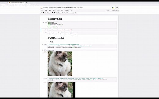 基础数据增强方法总结/torchvision.transform/pytorch
