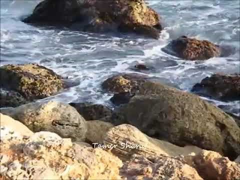 Besame Mucho - Piano Instrumental