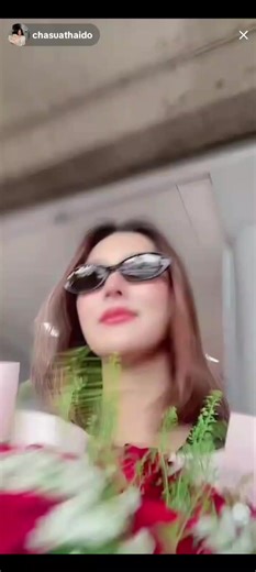 Mommy Shark Arrives in Vietnam! 🥰