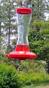 13 reactions · 3 comments | Humming Birds are So Cool! | Total Security Inc. | Facebook