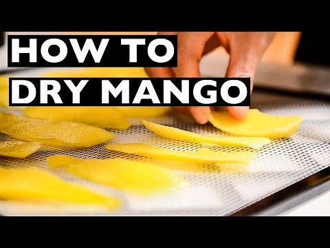 VEGAN rev Cooking Tips - How to Dry or Dehydrate Mango Slices! - EP1