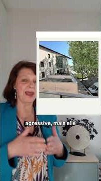 "Est-ce que c'est une flèche empoisonnée ?" La question Feng Shui d'un client
