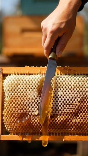 How Raw Honey Is Made 🍯 | Honey Factory Process