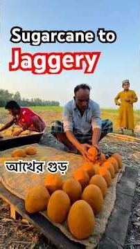 How Pure Jaggery is made from Sugarcane by Village People | Gur Making Process by Farmers #skills