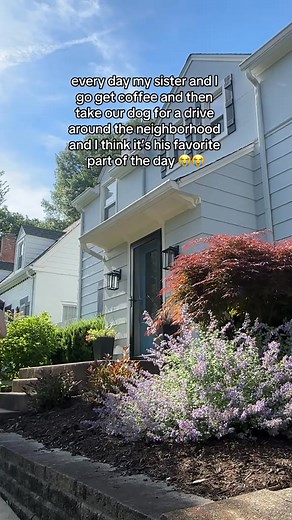 17K views · 428 reactions | also roddis has an IG account now‼️ follow real.roddis @caroline gaede | Rachel Gaede | Facebook