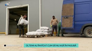 Construirea în mediul rural a depozitelor care asigură sortarea, ambalarea și livrarea producției în lanțurile de supermarketuri este soluția salvatoare pentru producătorii de legume. Un exemplu vine dintr-o localitate din județul Dolj, unde o astfel de stație de sortare i-a ajutat pe oameni să își vândă cartofii și chiar să își mărească suprafața cultivată. | ASTA-I ROMANIA